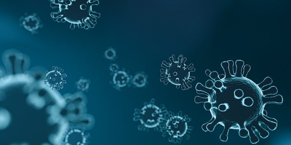 virus-4835301_960_720