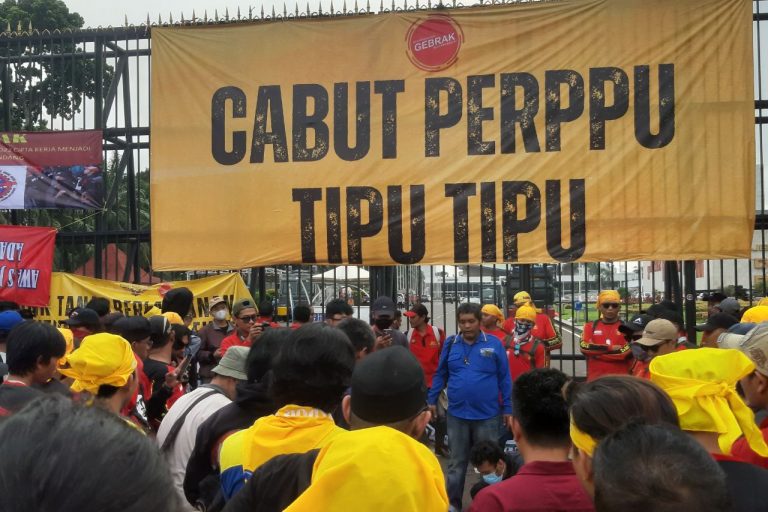 photo_6088934419705477513_y